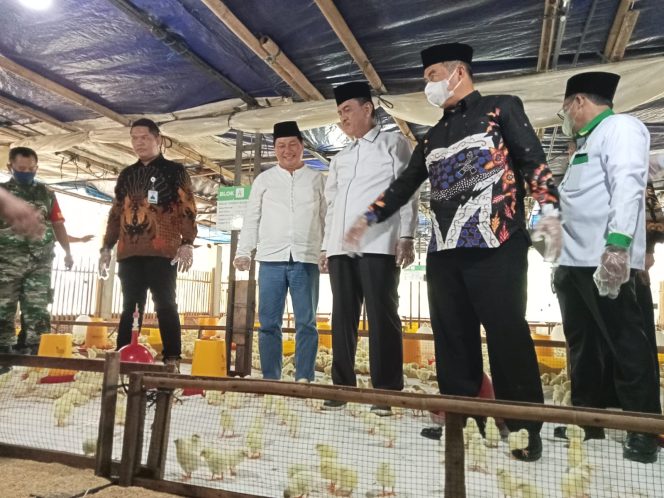 
 Kabupaten Madiun Dipercaya Jadi Lokasi Pengembangan Program Balai Ternak Kelompok Unggas Baznas