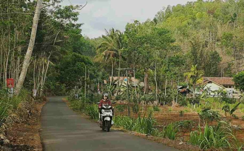 Seorang pengendara bermotor tampak nyaman melintas di ruas Cemeng-Widoro. (Foto : Lintas7.net).