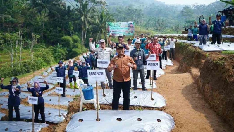 Pemkab Pacitan tanam ribuan benih cabai di Kecamatan Nawangan. (Foto:Pemkab Pacitan).