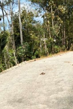 Rehabilitasi Jalan Sudimoro-Karangmulyo Selesai Dikerjakan