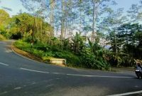 Ruas jalan Arjosari-Purwantoro di wilayah Kecamatan Nawangan. (Foto:Istimewa).