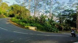 Ruas jalan Arjosari-Purwantoro di wilayah Kecamatan Nawangan. (Foto:Istimewa).