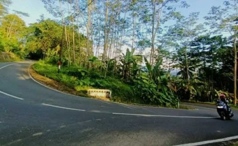 Ruas jalan Arjosari-Purwantoro di wilayah Kecamatan Nawangan. (Foto:Istimewa).