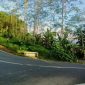 Ruas jalan Arjosari-Purwantoro di wilayah Kecamatan Nawangan. (Foto:Istimewa).