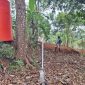 Program irigasi perpompaan untuk meningkatkan produksi dan kualitas tembakau di Kabupaten Pacitan. (Foto:Istimewa).