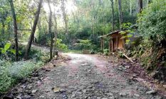 Pemkab Pacitan Perbaiki Jalan Alternatif Penghubung Dua Kecamatan Ngadirojo-Tulakan