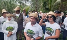 Jawa Timur Miliki Mangrove Terluas di Pulau Jawa, Pacitan Jadi Salah Satu Penopang Utama