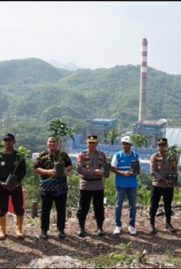PLN NP UP Pacitan dan Warga Kembangkan Agrowisata Alpukat Berbasis Lingkungan di Sudimoro