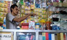 Rokok Ilegal Ancam Stabilitas Harga Tembakau, Pedagang dan Petani Pacitan Ikut Terdampak