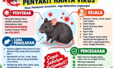 Tikus Makin Meresahkan Saat Kemarau, Dinkes Pacitan Ingatkan Bahaya Hantavirus
